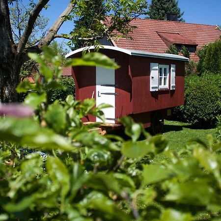 Haus Am Salinenweg Apartment Грасау Екстериор снимка
